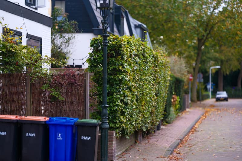 Recycling bins set out along a quiet residential street lined with trees