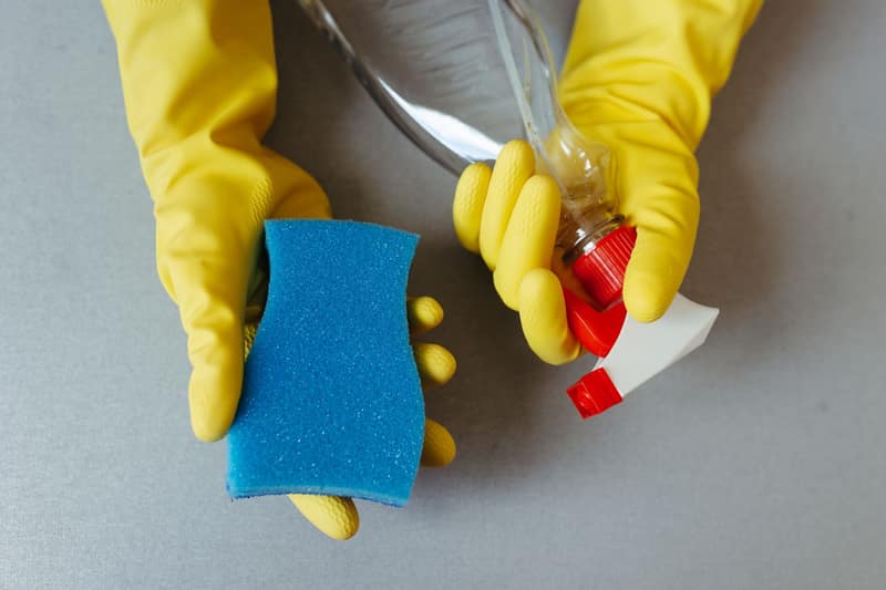 Gloved hands holding a sponge and a spray bottle