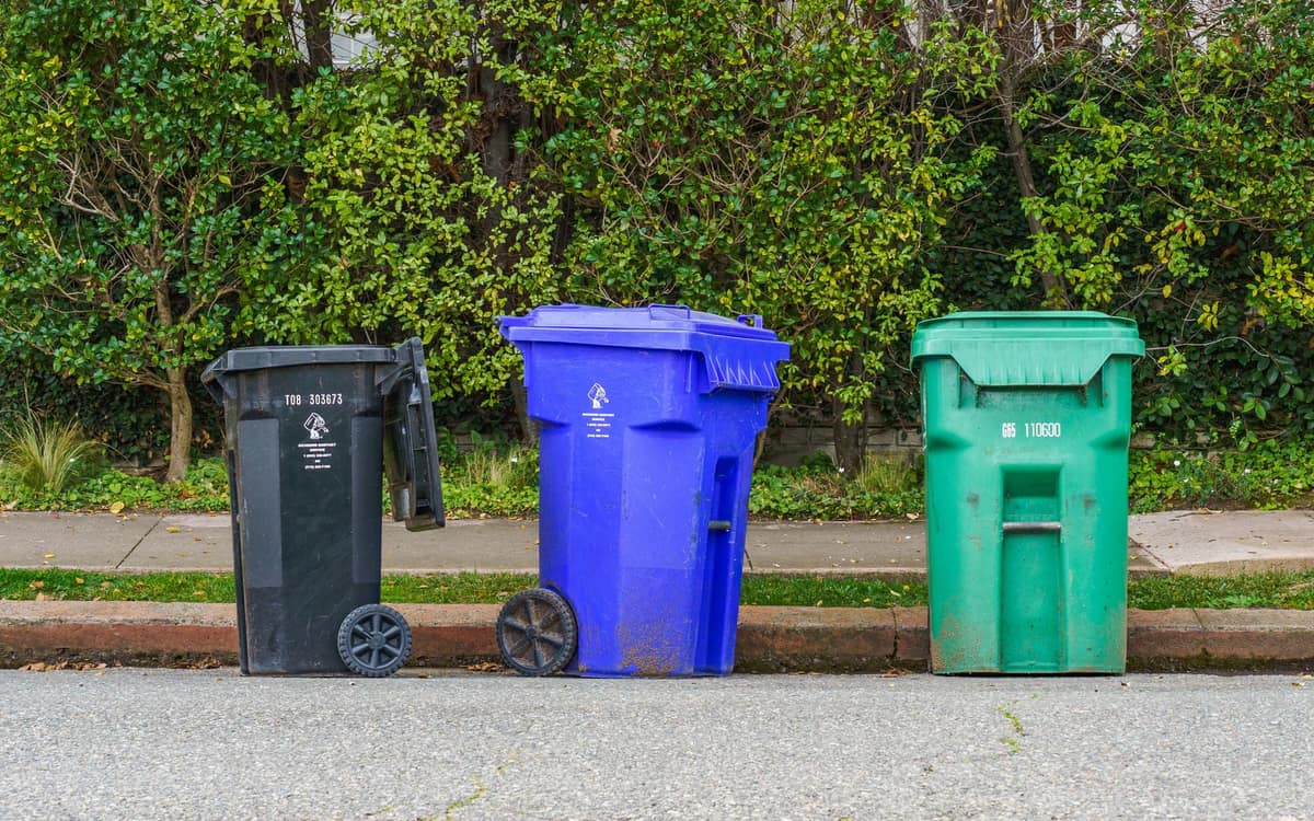 Black, blue and green bins lined up at the curb ready for collection